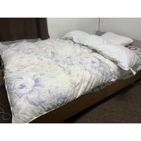 ราคา ผ้าห่มขนเป็ดแท้ ผ้านวมขนห่านแท้ France Bed Down Quilt สวยๆหนาๆมือสองจากญี่ปุ่น (16787090710)