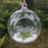 ราคา CORAZOKIS แจกันแก้วแขวน, แก้ว Borosilicate Ball แขวน Tealight Holder, กระถางดอกไม้ใส 6/8/10/12/15 ซม.Succulents พืช Ball คอนเทนเนอร์ Moss (51007849122)