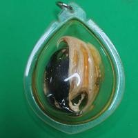 ราคา เล็บครุฑแบบกรอบคู่ใส่น้ำมัน เล็บครุฑ พญาเล็บครุฑ ของแท้ จี้พญาเล็บครุฑ (5487376444)