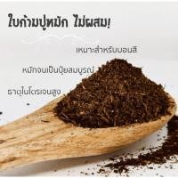 ราคา ใบก้ามปูล้วนหมัก ร่อนละเอียด (15835144590)