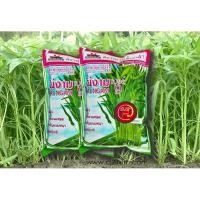 ราคา เมล็ดผักบุ้ง ต้นไผ่ แบบแบ่งขาย ราคาถูก สินค้ามีพร้อมส่ง (7736191851)