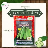ราคา เมล็ดพันธุ์ผัก เมล็ดแตงกวา ขนาด 10 กรัม F1 ล่ำซำ ตราภูเขาทอง (51055383881)