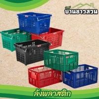 ราคา ลังผลไม้ พลาสติก ตรางู ตะกร้าผลไม้ หูพลาสติก หูเหล็ก (28350614790)