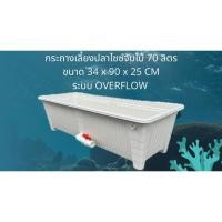 ราคา กระถางเลี้ยงปลาไซซ์จัมโบ้ ระบบoverflow กระถางขาววาล์วขาวขนาด34x90x25CM อ่างเลี้ยงปลาเมกาดะ อ่างปลาสวยๆ อ่างเลี้ยงปลา (51555404962)