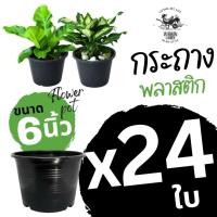 ราคา กระถางต้นไม้ size 6" จำนวน 24 ใบ กระถางพลาสติก กระถางต้นไม้พลาสติก (พลาสติกเกรด A) (51302358284)