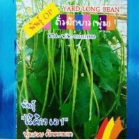 ราคา เมล็ดถั่วไร้ค้าง ถั่วพุ่ม ถั่วฝักยาวไร้ค้าง (1648333343)