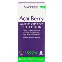 ราคา Natrol, Acai Berry, 1,000 mg, 75 Veggie Caps พร้อมส่ง (1335096942)
