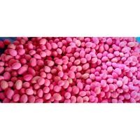 ราคา เมล็ดพันธุ์ ผักหวานป่า สำหรับปลูก 10เมล็ด 30 บาท ผักหวานป่า ยอดเหลือง สีทอง (50106308270)