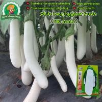 ราคา 100เมล็ด/ซอง เมล็ดมะเขือยาวขาว ลองไวท์ Pure White Long Eggplant for Planting Vegetables Plants เมล็ดพันธุ์มะเขือยาวขาว (44073300679)