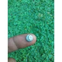 ราคา เหรียญเงินสิงห์***** (43179055769)