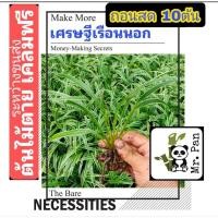 ราคา (ถอนสด 10 ต้น) เศรษฐีเรือนนอก ต้นไม้ตายระหว่างขนส่งเคลมฟรี ต้นเศรษฐีเรือยนอก (15792815509)