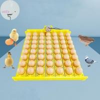 ราคา XOITR 8/22/36 หลุมอัตโนมัติ Incubator ถาดไข่ไก่ไข่ Incubator สําหรับเป็ดสัตว์ปีก Goose Birds อะไหล่ PH (45855152532)
