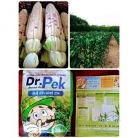 ราคา เมล็ดพันธุ์ข้าวโพดข้าวเหนียวม่วงแต้ม254ดร.เป๊ก ข้าวโพดข้าวเหนียวลูกผสม Dr.Pek บรรจุ 50 เมล็ด จัดส่งฟรี (13540537402)