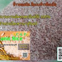 ราคา ข้าวหอมนิลและข้าวหอมมะลิ (4814190278)