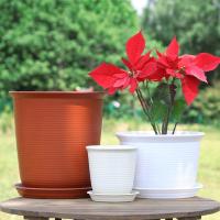 ราคา กระถางต้นไม้ กระถางต้นไม้พลาสติก กระถางทรงกลมพร้อมจานรอง รุ่น 5343 (6677752900)