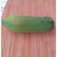 ราคา ลูกมะละกอพันธ์ุฮอลแลนด์(แบบทานสุก) (29064657566)