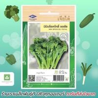 ราคา มินิบร็อคโคลี รอยัล เมล็๋ดพันธุ์บร็อคโคลี่ บร็อคโคลี เจียไต๋ mini broccoli (12811155727)
