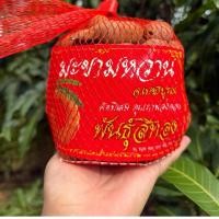 ราคา มะขามหวาน พันธุ์สีทองจาก อ.เขาค้อ จ.เพชรบูรณ์ 500 กรัม (40451274014)