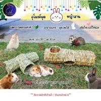 ราคา ของเล่นกระต่าย แกสบี้ ชินชิลล่า เฟอเรท อุโมงค์มุดหญ้าสาน 2 แบบ ของเล่นสัตว์เล็ก (IP) (25980275240)