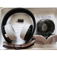 ราคา หูฟัง Sony Gold Wireless มือสอง (22928197022)