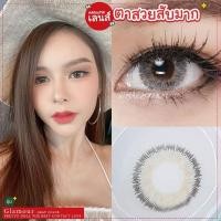 ราคา คอนแทคเลนส์ รุ่น Glamour สีเทา/ตาล Gray/Brown มีค่าสายตาปกติ (0.00) (23858371909)