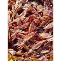 ราคา หมึกกะตอยเรือไดร์ 500 กรัม หมึกกะตอยแห้ง ปลาหมึกแห้ง ปลาหมึกแห้งถูก 200กรัม หมึกตากแห้ง ไม่เค็ม (56107996769)