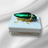 ราคา เข็มกลัดแมลงทับ เข็มกลัดแมลงทับสีเขียวมรกต เข็มกลัดแฟชั่นวินเทจ เครื่องประดับเสริมลุคหรูหรา (56200729454)