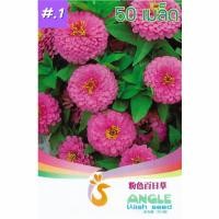 ราคา เมล็ดดอกบานชื่น คละสี 50เมล็ดเมล็ด (สีชมพู)บานชื่นซ้อน Zinnia Flower เมล็ดพันธุ์นำเข้า พันธุ์แท้100% FL-02401 (4691587734)