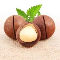 ราคา แมคคาเดเมียอบเนย หวาน มัน หอมเนย อบสด เม็ดใหญ่ (56306608277)