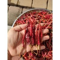 ราคา พริกจินดาแห้งแบบมีก้าน 1 กก 199 บาท พริกแห้งจินดาแบบมีก้าน (22274574298)