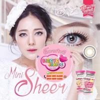 ราคา KittyKawaii Mini Sheer Eff.14.5 Gray มินิ (24170514104)