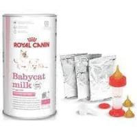 ราคา Royal Canin Babycat Milk ขนาด300กรัม นมผงทดแทนนมแม่ สำหรับลูกแมวแรกเกิด-หย่านม (5889523328)