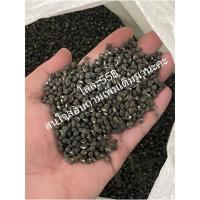 ราคา ถูกสุดในตลาดถั่วแขกพม่า ผิวดำ ถุง 5กิโล ใช้ปลูกถั่วงอก เกรดAAA (24863216063)