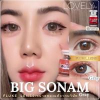 ราคา Lovelyplus นิ่มสบายตา ❤️‍ Sonam ❤️‍ (ตาโต) ฝาแฝด oh soul คอนแทคเลนส์สีเทา สีน้ำตาล ลายยอดฮิต lovelylens (4952582676)