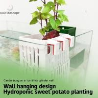 ราคา <H&Z< Aquarium Plant Holder พลาสติก Aquarium Hooks Planter ถ้วย Planter ตะกร้าปฏิบัติหม้อน้ํากล่อง Aquascape ตกแต่ง (52505118153)