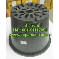 ราคา (20-100ใบ)papamami กระถางพลาสติก กระถางดำ 8นิ้ว กระถางปลูกต้นไม้ (5238740277)