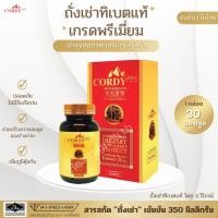 ราคา [ของแท้] Cordy Plus ถั่งเช่าทิเบต คอร์ดี้ พลัส สารสกัด ถั่งเช่า เข้มข้น 1กล่อง 30 แคปซูล (18982187969)