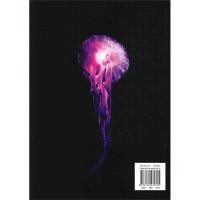 ราคา B2S หนังสือ BIOLOGY ชีววิทยา (ไบโอ ปลาหมึก) (8070966174)