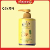 ราคา Qin Leaf Ginger Shampoo Hair Oil Control Fluffy Old Ginger Juice Soft Moisturizing Shampoo Hair Growth Strong Root Care [cxSE] (51355960458)