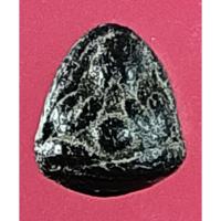 ราคา 3424 พระปิดตาจิ๋ว พิมพ์สามเหลี่ยมขอบมน เนื้อผง คลุกรัก หลวงพ่อเชย วัดโพธิ์ทองล่าง นนทบุรี (27291184080)