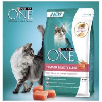 ราคา อาหารแมวเพียวริน่าวัน2.7km.PURINAONE (7062844608)