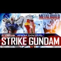 ราคา Metal Build Strike Gundam Infinity Ver. (4632052181)