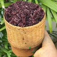 ราคา ข้าวเหนียวดำ ข้าวเหนียวก่ำ ข้าวก่ำ ชาวนาปลูกเองขายเอง (4576746886)