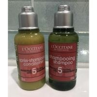ราคา L'occitane essential oil shampoo 35ml & conditioner 35ml (344681684)