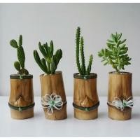 ราคา กระถางต้นไม้จากกระบอกไม้ไผ่ราคาต่อ1ชิ้น (26794027849)