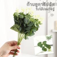 ราคา ใบยูคาลิปตัสปลอม 5-10 ก้านใบกลม ใบไม้ประดิษฐ์ ก้านยูคาลิปตัส ใบไม้ปลอม ของตกแต่งห้อง พร๊อพถ่ายรูป (43018201598)