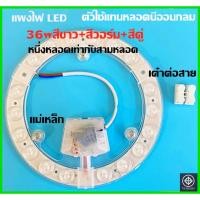 ราคา แพนชิปกลมLED36W ตัวใช้แทนหลอดนีออนกลม รุ่นประหยัด พร้อมเต๋าต่อสายไฟแม่เหล็ก 36วัตต์SMD3stepsสีขาว+สีวอร์ม+สีคู่ (5139920782)