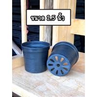 ราคา กระถางต้นไม้ 2.5นิ้ว 50ใบ กระถางดำ กระถางกลม กระถางพลาสติก (22415503983)