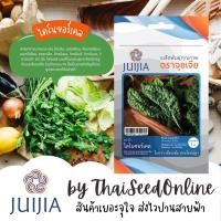 ราคา JJ เมล็ดพันธุ์ จุยเจีย ไดโนซอร์เคล คะน้าไดโนเสาร์ เคล ไดโนเสาร์ คะน้า Kale (3850507683)