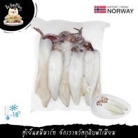 ราคา 2KG/PACK ปลาหมึกกล้วยทั้งตัวขนาดใหญ่ WHOLE CLEAN SQUID FROZEN (6247228504)